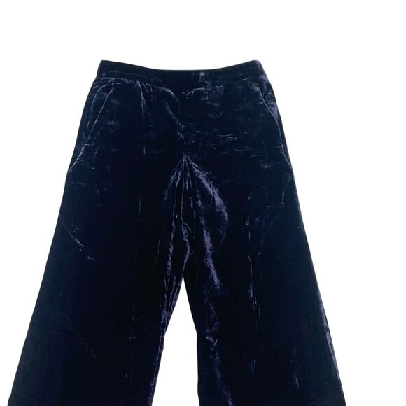 J Crew Velvet Wide-Leg Pull-On Ankle Pants Classic Preppy Business Blue size 8 - Picture 3 of 8
